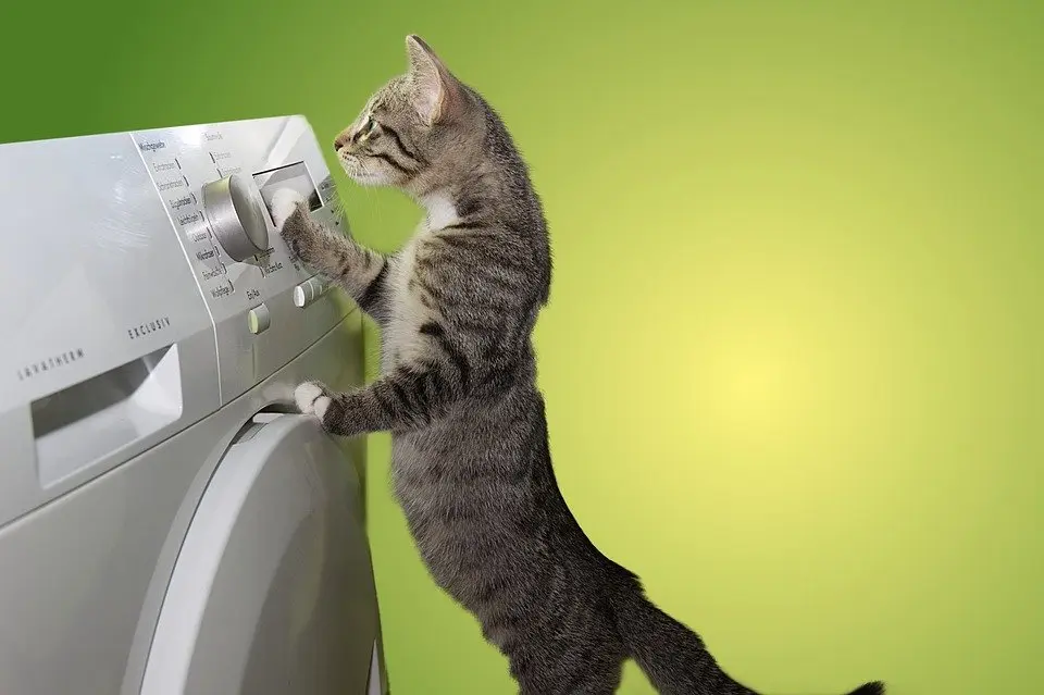 Dryer-Repair--in-Occidental-California-Dryer-Repair-15739-image