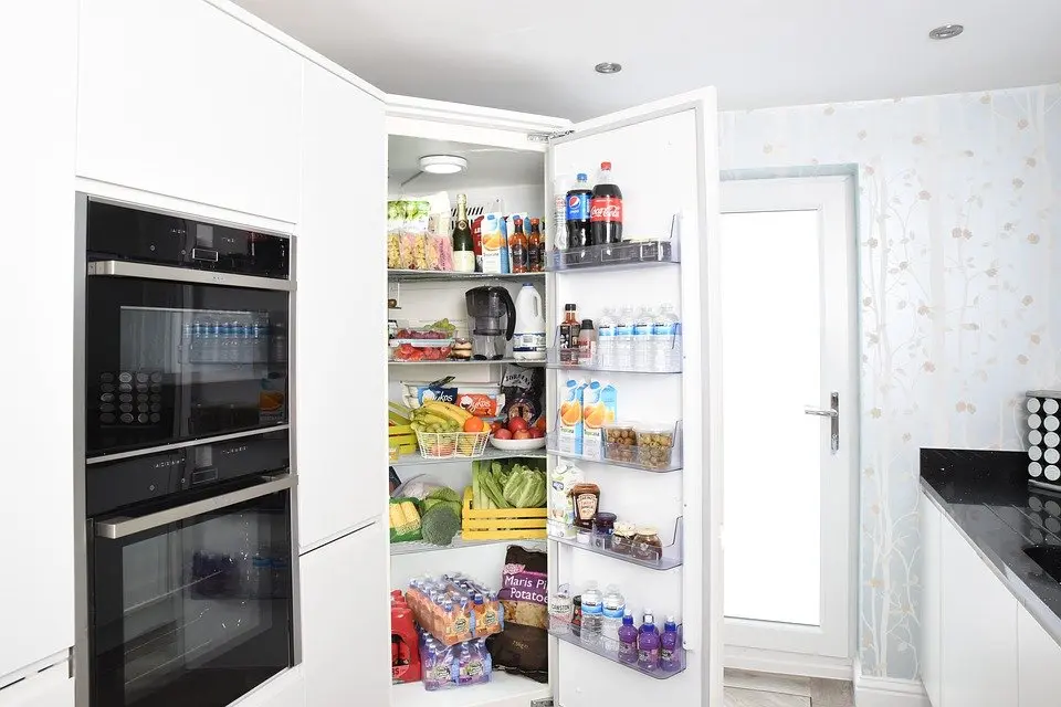 Refrigerator-Repair--in-El-Granada-California-Refrigerator-Repair-45185-image